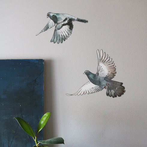 Pigeons live in flocks