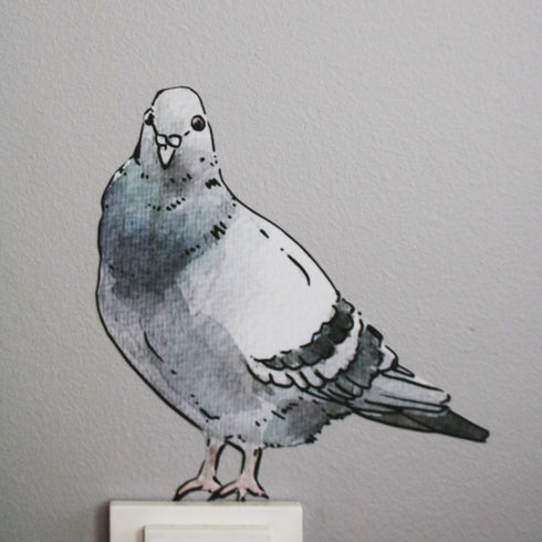 Pigeons live in flocks